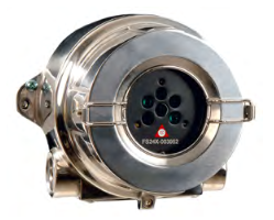 Detector de llama UV/IR2 con carcasa acero inox 316 y entrada cables M25 (x2) ESSER FS20X-211-24-6